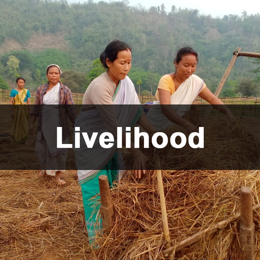Livelihood-Impact-GS